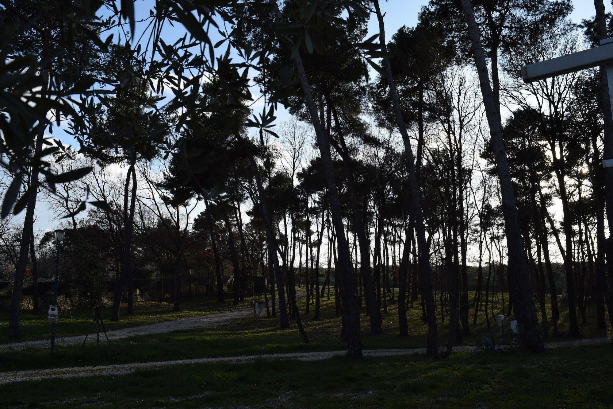 Villaggio Camping Bosco Selva Alberobello Bagian luar foto