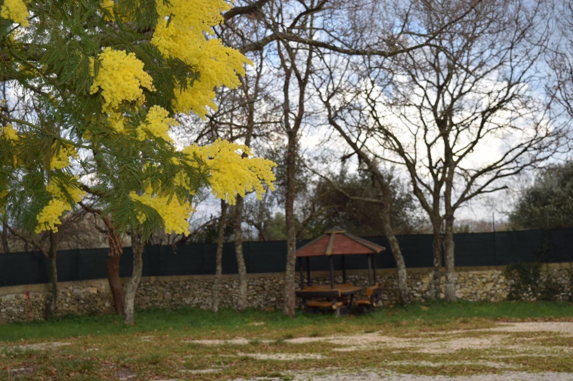 Villaggio Camping Bosco Selva Alberobello Bagian luar foto